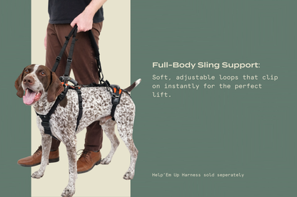Walking Loop Handles