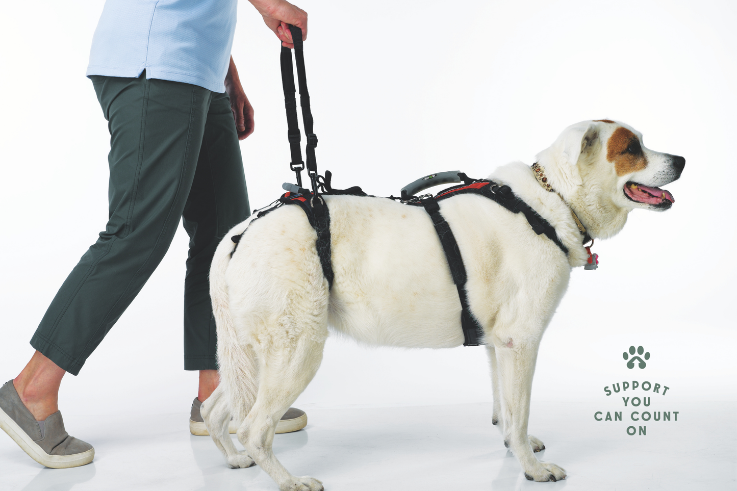 Walking Loop Handles