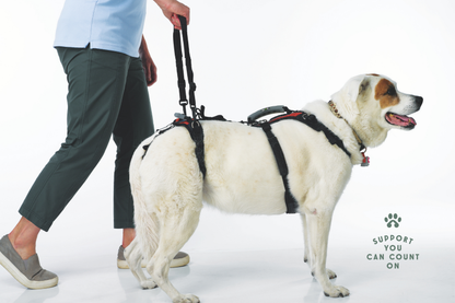 Walking Loop Handles