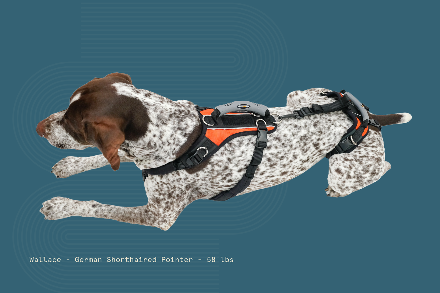 Help 'Em Up Harness