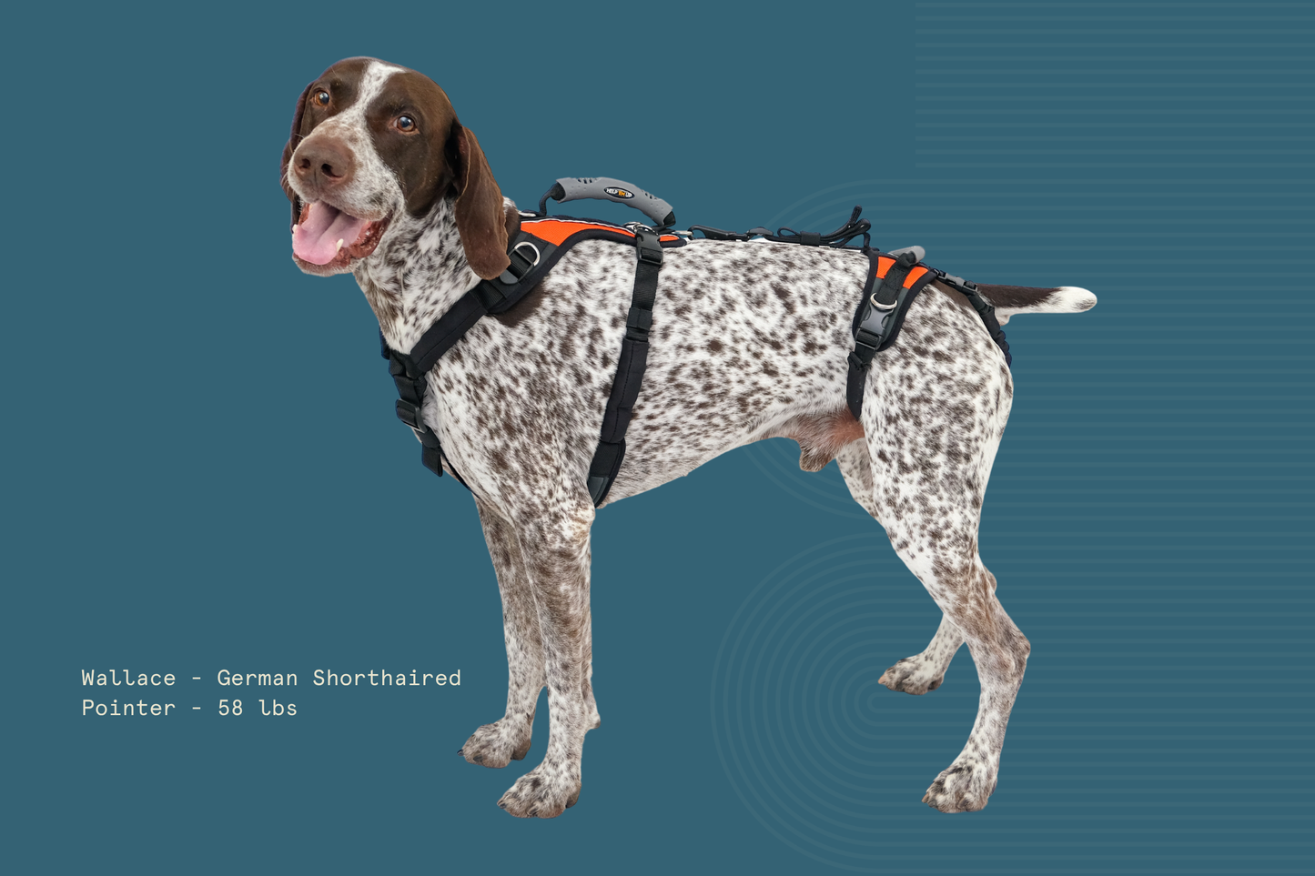 Help 'Em Up Harness