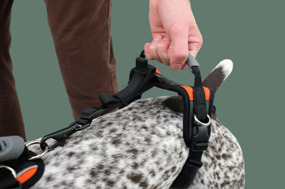 Help 'Em Up Harness