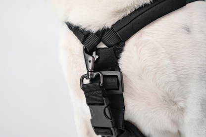 Tripawd Support