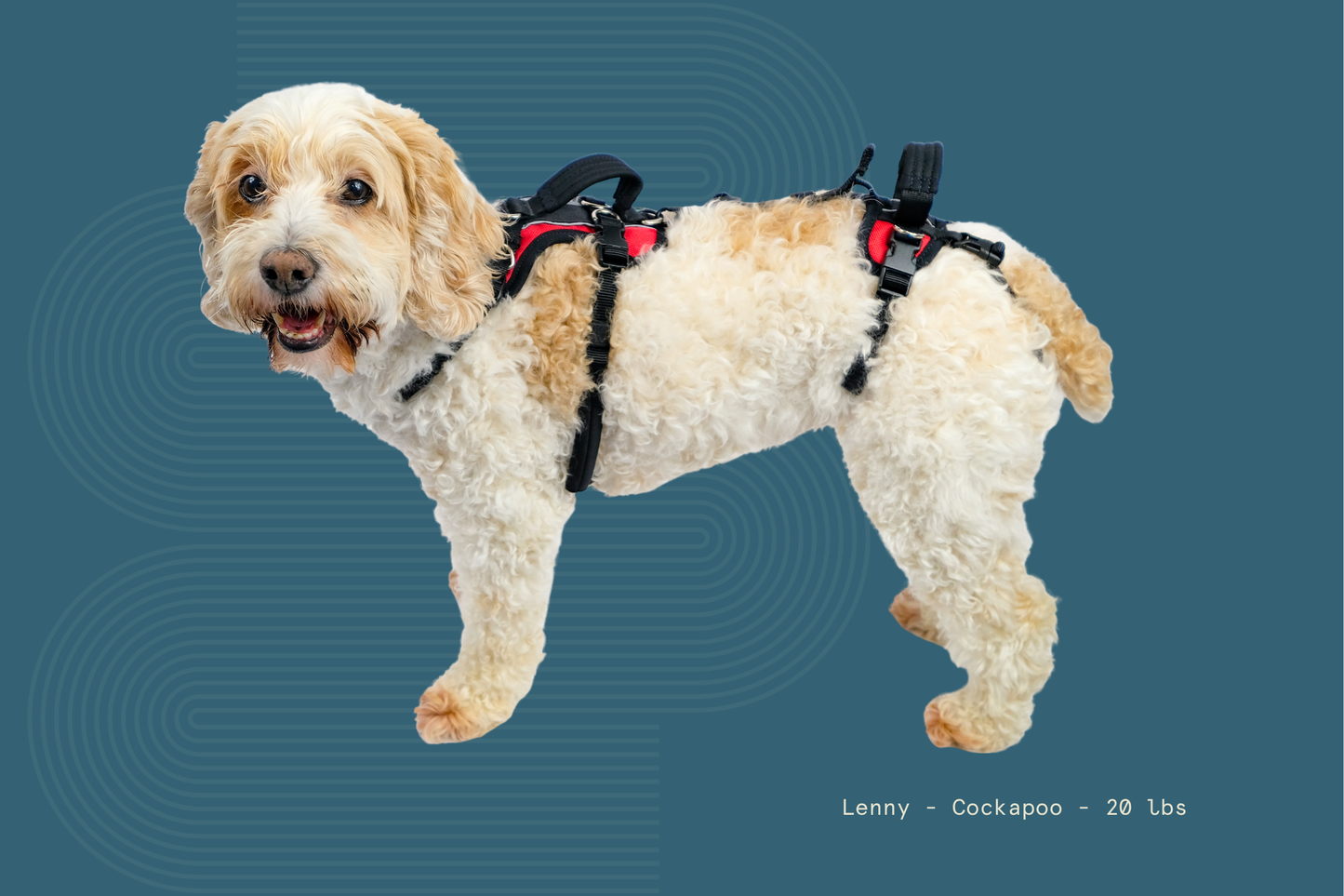 Help 'Em Up Harness