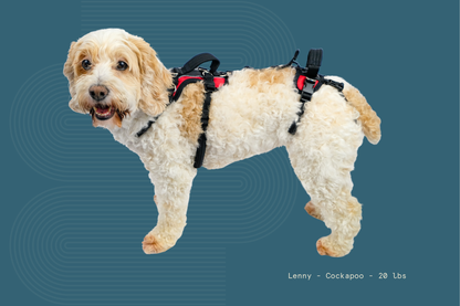 Help 'Em Up Harness