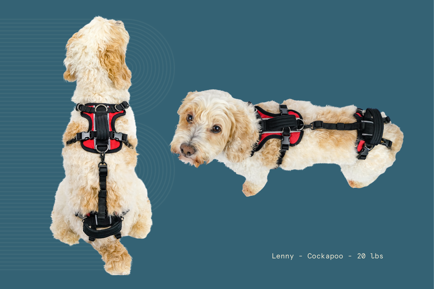 Help 'Em Up Harness