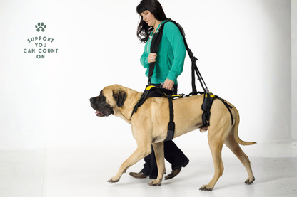 Walking Leash/Shoulder Strap