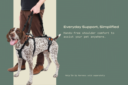 Walking Leash/Shoulder Strap