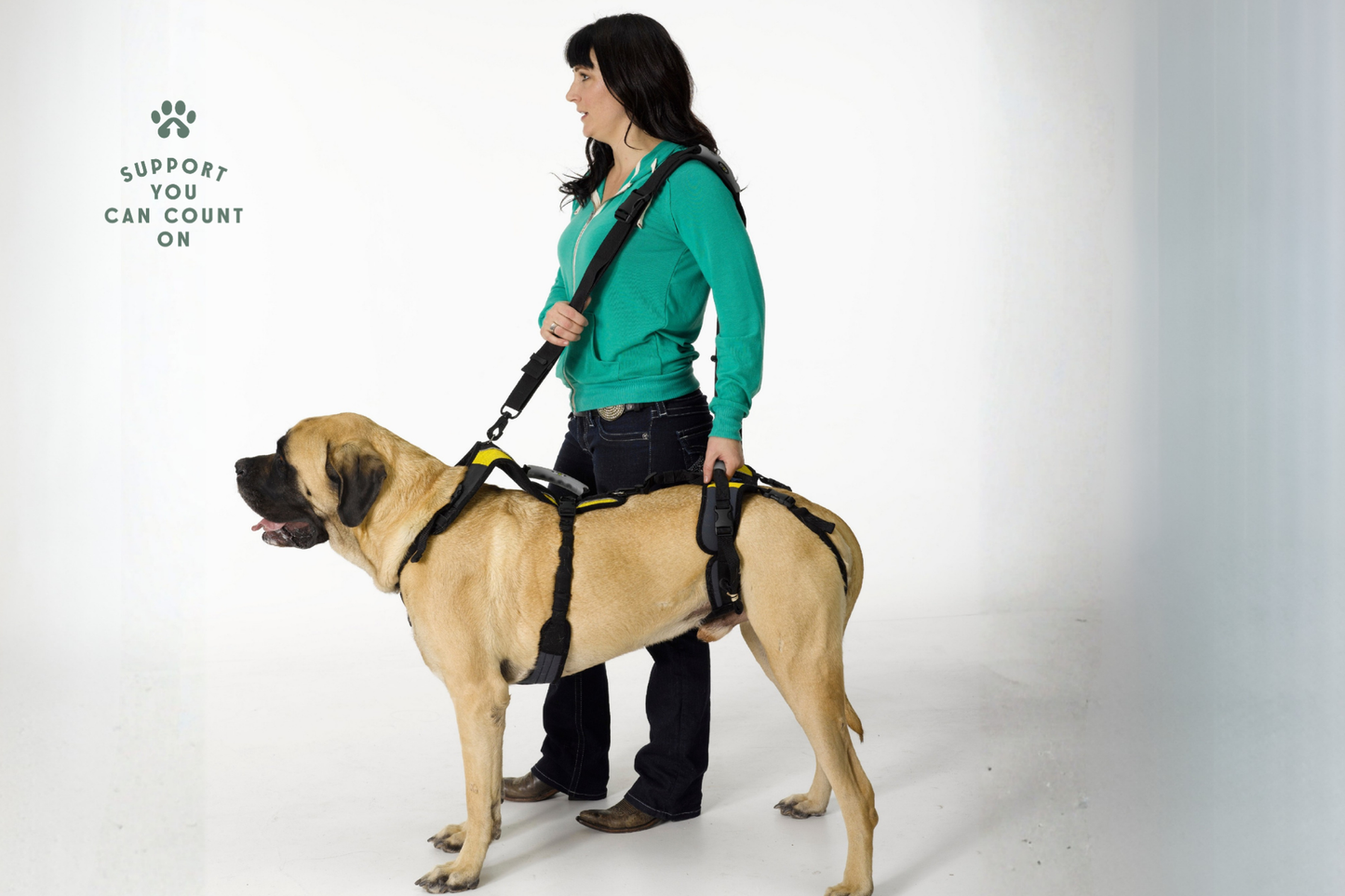 Walking Leash/Shoulder Strap