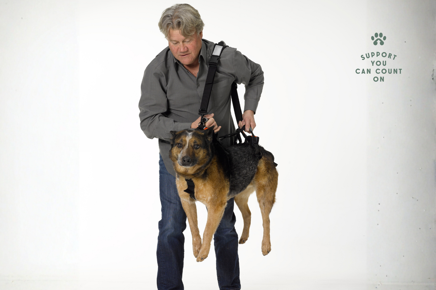 Walking Leash/Shoulder Strap