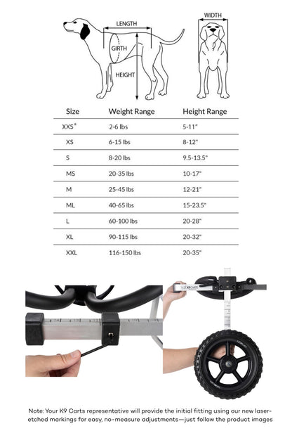 Dog Wheelchair for Back Legs – Rear Support