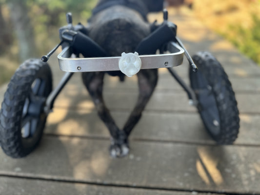 LED Light
