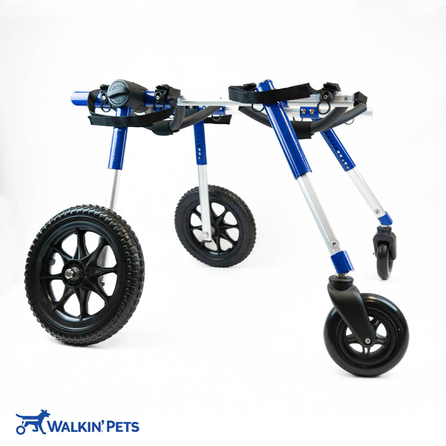 Walkin' Wheels Full Support/4-Wheel MED/LARGE