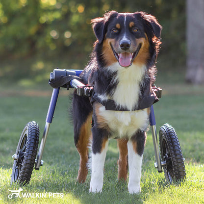 Walkin' Wheels Med/Large Dog Wheelchair