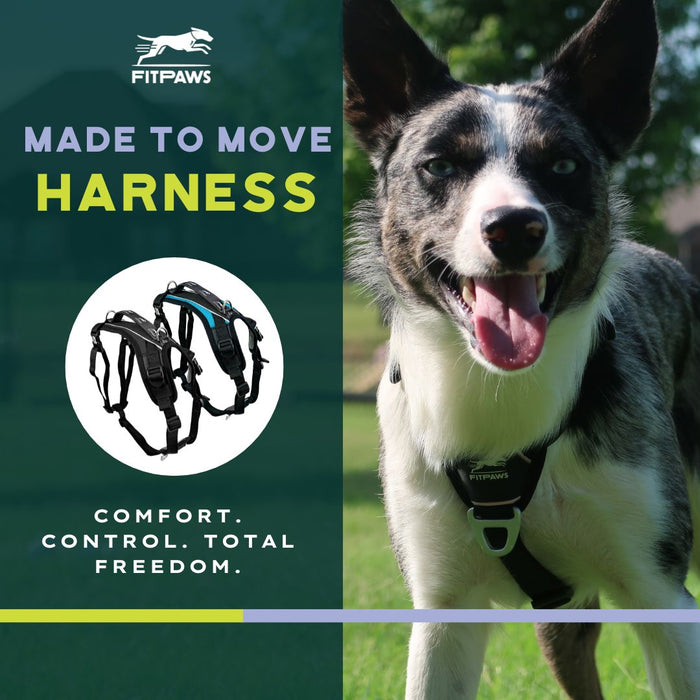 Made To Move Harness