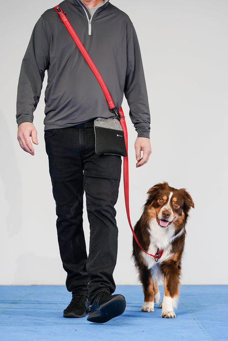 Male human in grey shirt and black jeans walking towards camera with red multi-function leash over his shoulder attached to the front clip of the Balance Harness on a red tri australian shepherd dog looking at the camera.