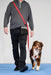 Male human in grey shirt and black jeans walking towards camera with red multi-function leash over his shoulder attached to the front clip of the Balance Harness on a red tri australian shepherd dog looking at the camera.