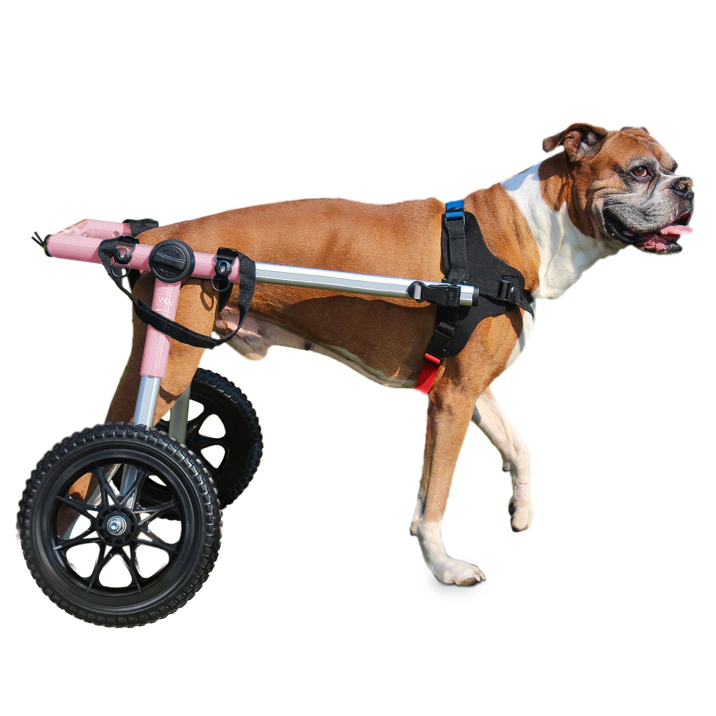 Walkin' Wheels LARGE Dog Wheelchair