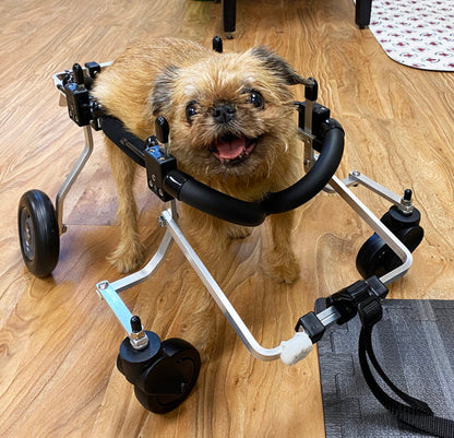 Full Support Dog Wheelchair