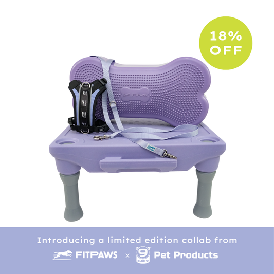 Blue-9 x FitPaws Periwinkle Training Bundle