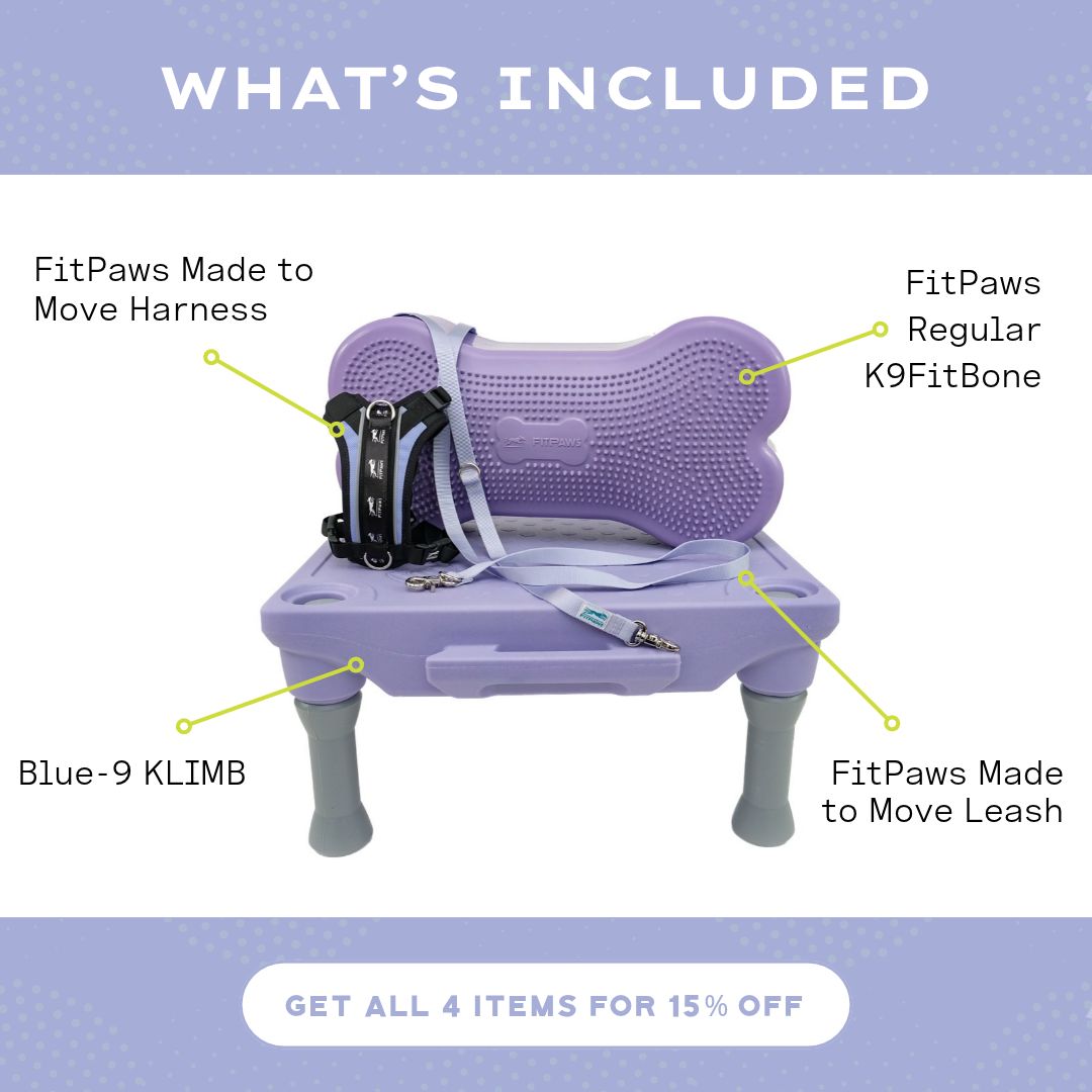 Blue-9 x FitPaws Periwinkle Training Bundle