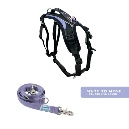 Blue-9 x FitPaws Periwinkle Training Bundle