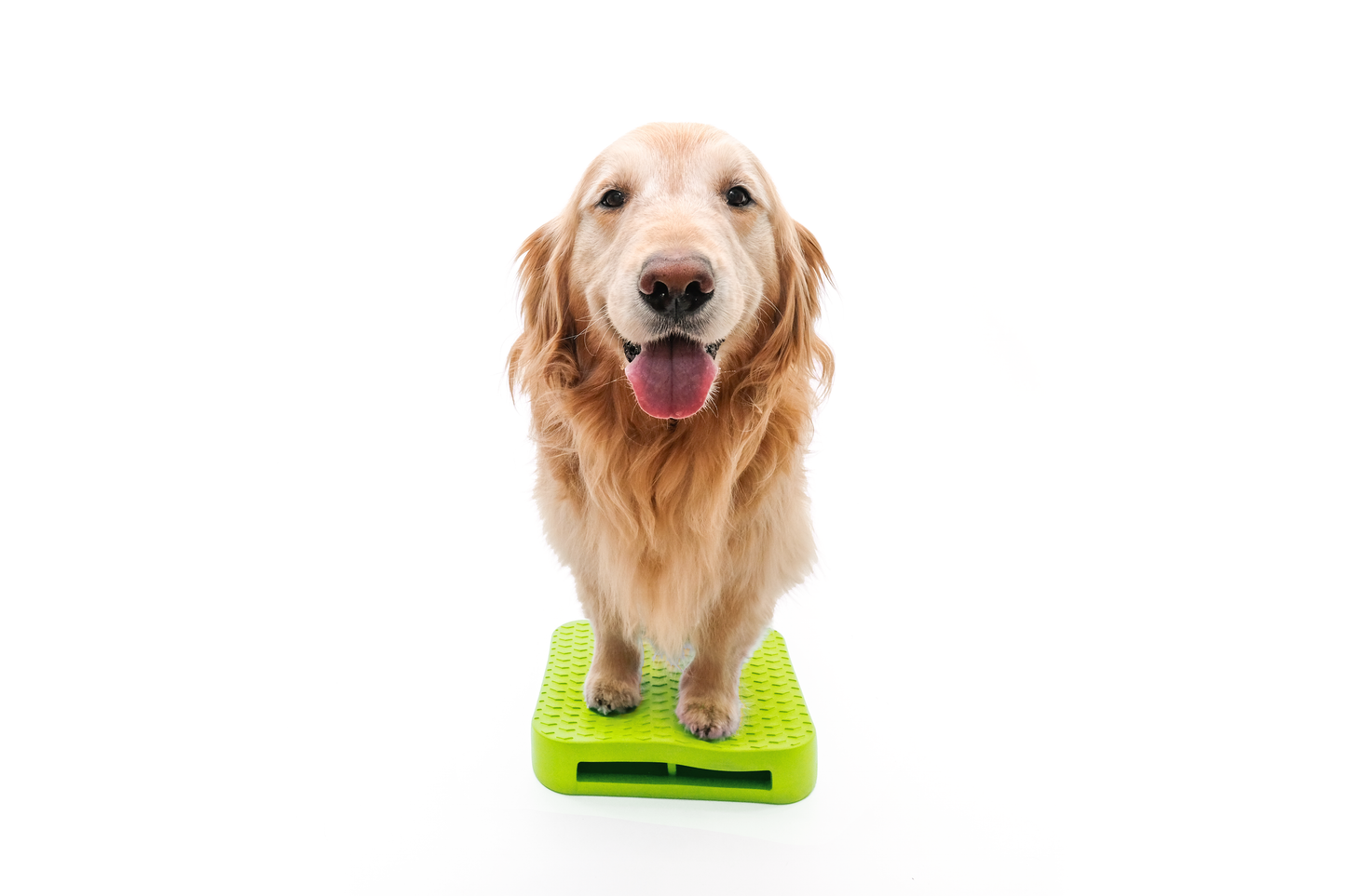 FitPaws Balance Ramp
