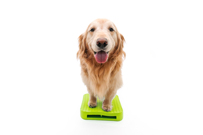 FitPaws Balance Ramp