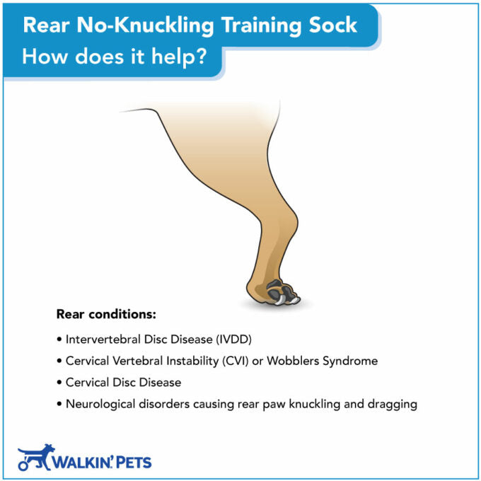 Rear No-Knuckling Training Sock