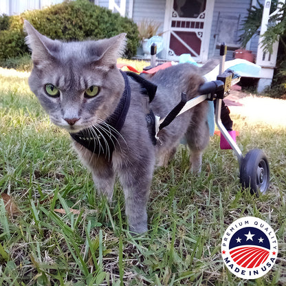 Cat Wheelchair