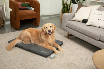 Bio-Pulse PEMF Dog Bed Therapy System - Plush Micro-Suede