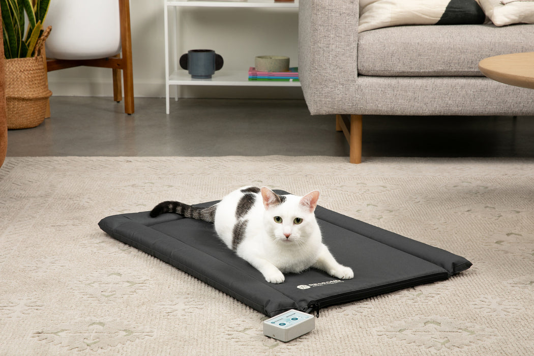 Bio-Pulse PEMF Dog or Cat Bed/ Therapy Mat - Nylon