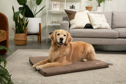 Bio-Pulse PEMF Dog Bed Therapy System - Plush Micro-Suede