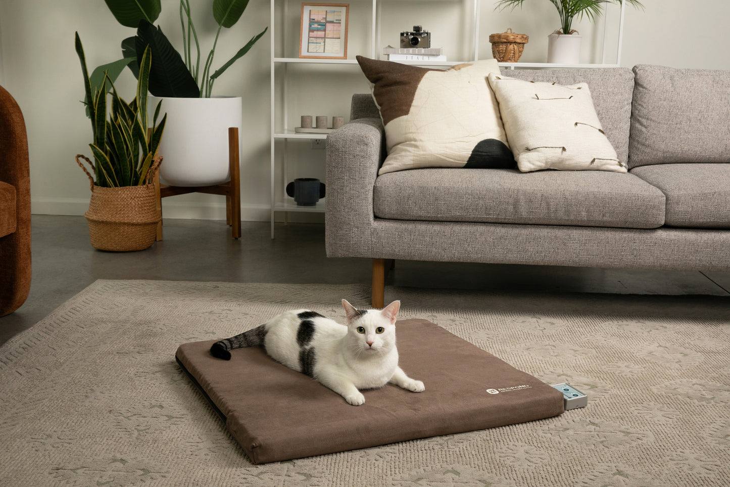 Bio-Pulse PEMF Dog Bed Therapy System - Plush Micro-Suede