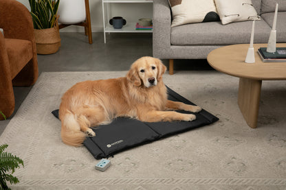 Bio-Pulse PEMF Dog or Cat Bed/ Therapy Mat - Nylon