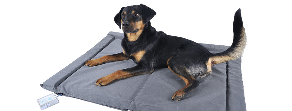 Bio-Pulse PEMF Dog or Cat Bed/ Therapy Mat - Nylon