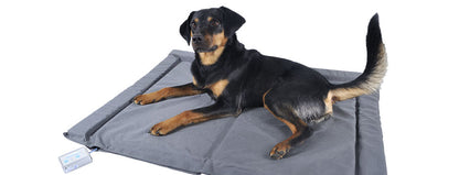 Bio-Pulse PEMF Dog or Cat Bed/ Therapy Mat - Nylon