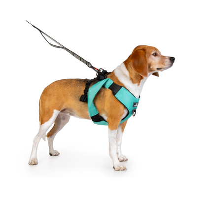 Clickit Range