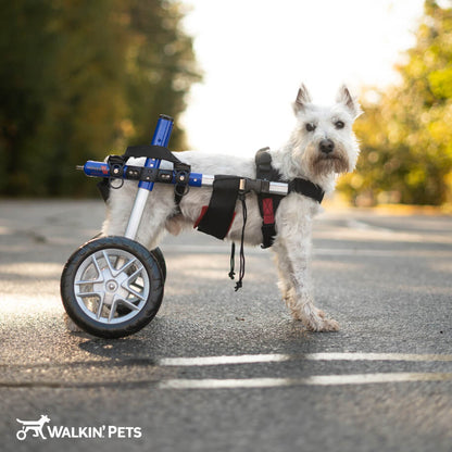 Walkin' Wheels SMALL Dog Wheelchair