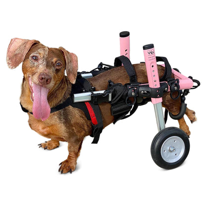 Walkin' Wheels DACHSHUND Wheelchair