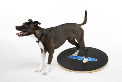 FitPaws Wobble Board, Dog Balance Training Platform Size 20