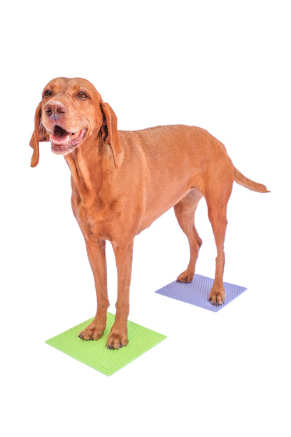 FitPaws TRAX Targets (Set of 2)