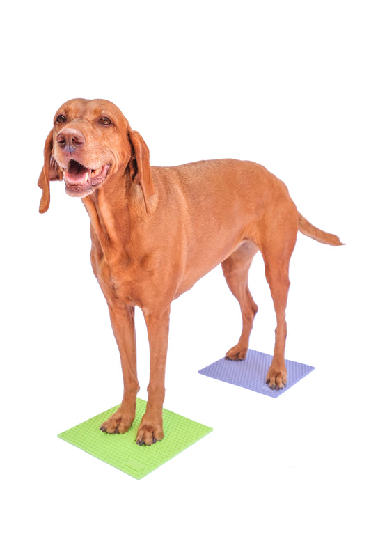 FitPaws TRAX Targets (Set of 2)