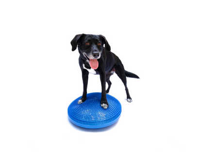 FitPaws Balance Discs (14"  18" or 22")