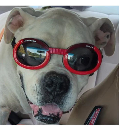 Doggles