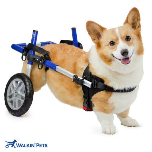 Walkin' Wheels CORGI Dog Wheelchair