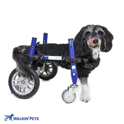 Walkin' Wheels Full Support/4-Wheel SMALL