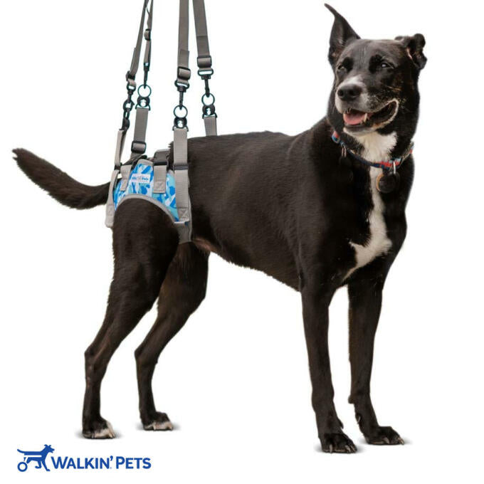 Walkin’ Warrior Rear Harness