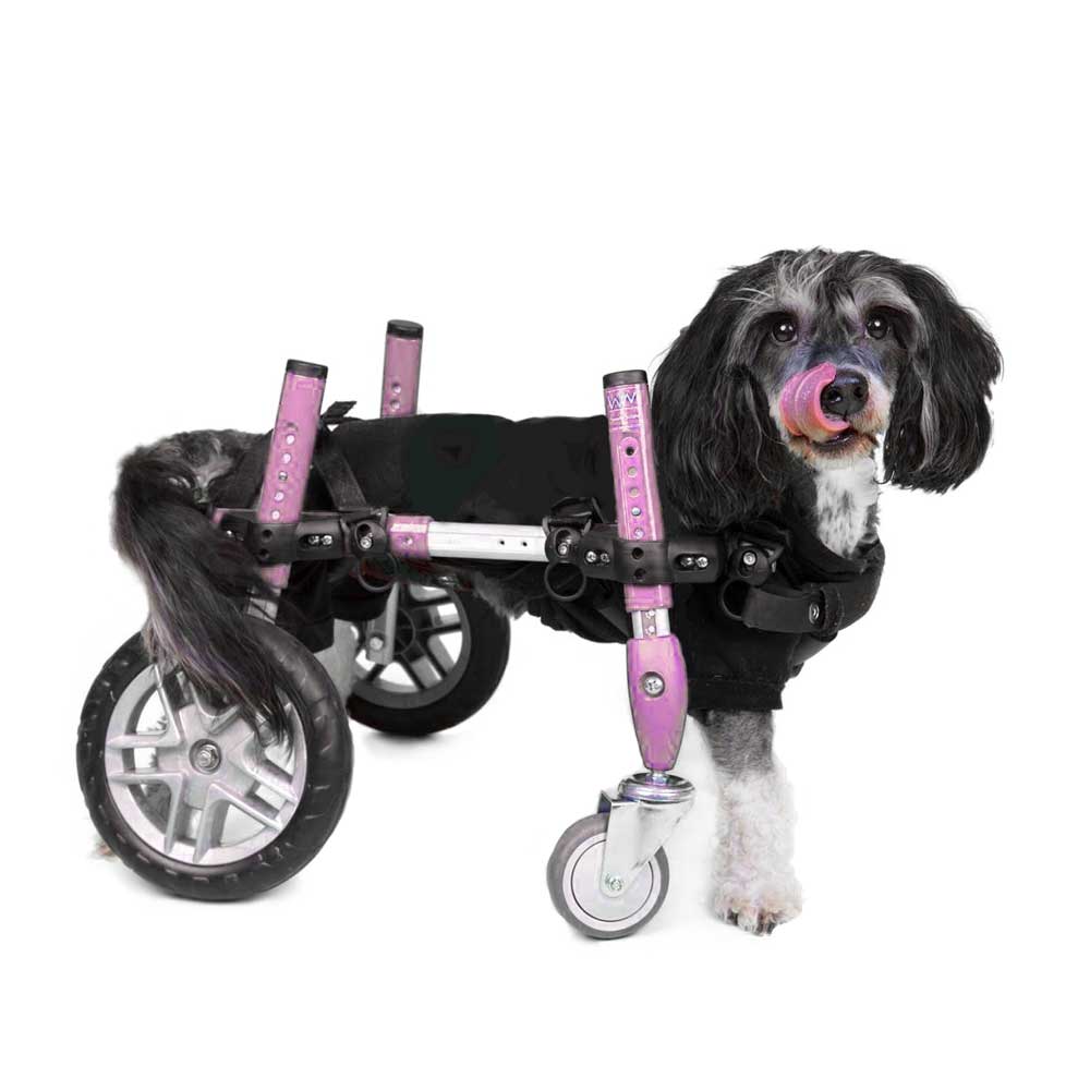 Walkin' Wheels Full Support/4-Wheel SMALL