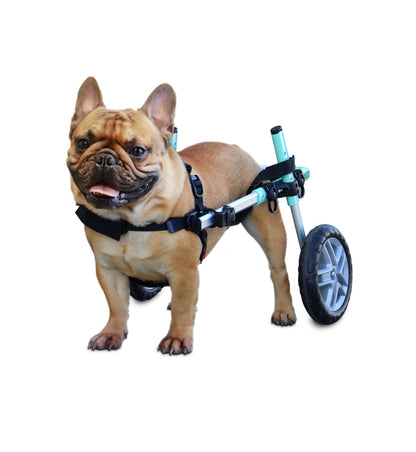 Walkin' Wheels SMALL Dog Wheelchair